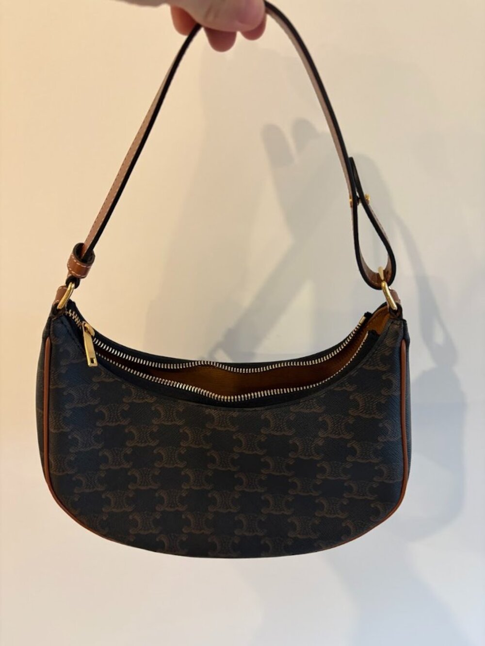 Celine Ava Bag IN Triomphe Canvas and calfskin